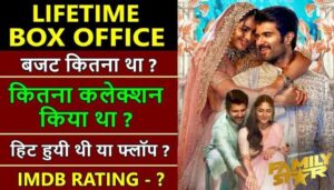 The Family Star Lifetime Box Office Collection